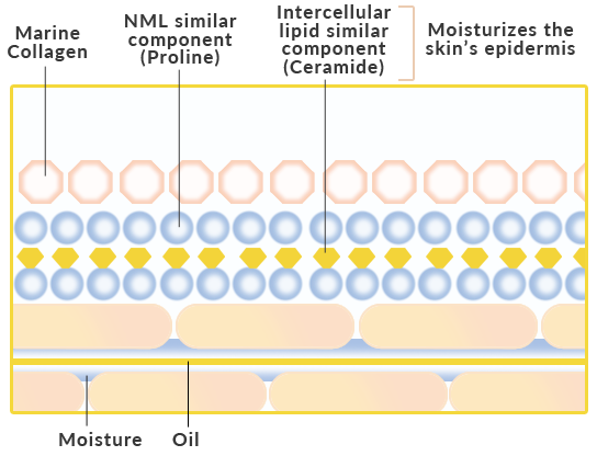 Covermark-Mineral-Wash-04-Moisturizes