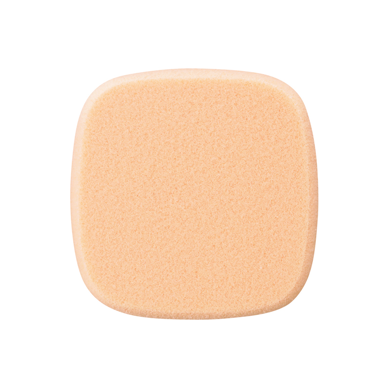 Flawless Fit Foundation Sponge F