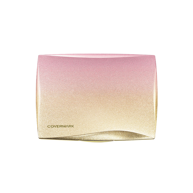 Silky Fit Foundation Case